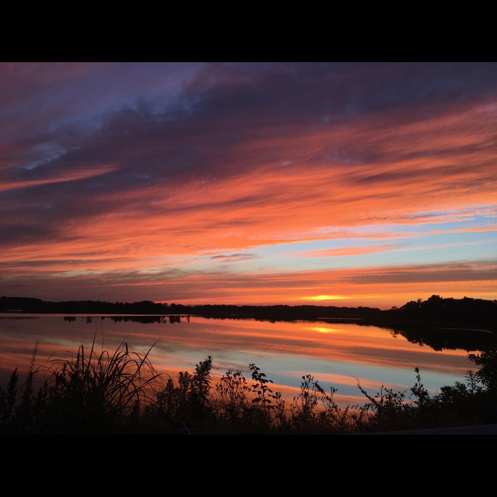 Meet your Posher, Chloe